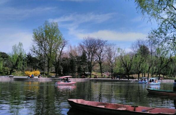 1657348214740772.jpg 按園林.jpg